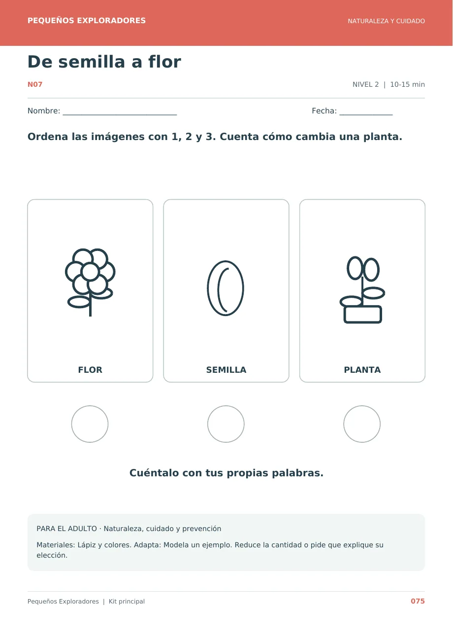Página real: De semilla a flor